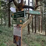 Holiday home Schellerhaeusl *