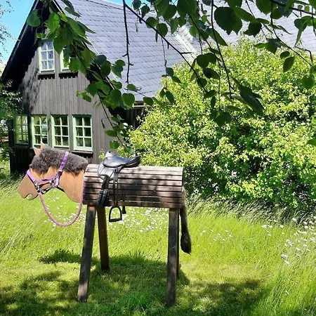 Schellerhaeusl Holiday home Altenberg