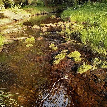 Schellerhaeusl * Альтенберг