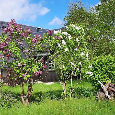 Schellerhaeusl Holiday home *