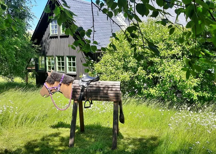 Schellerhäusl Ferienhaus Altenberg (Erzgebirge)