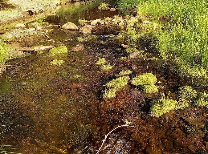 Schellerhaeusl * Альтенберг