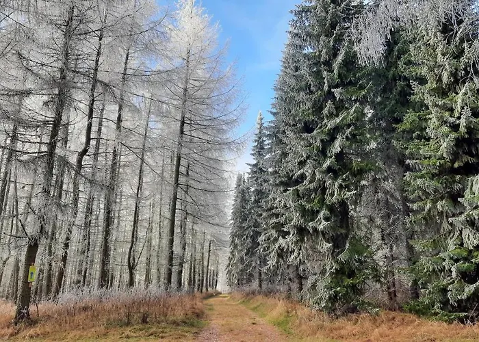 Дом отдыха Schellerhaeusl