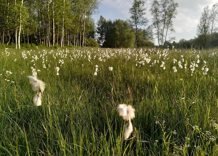 Schellerhaeusl Дом отдыха